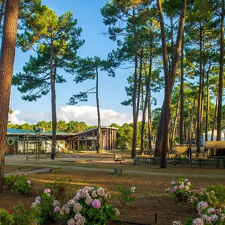 Vtf La Jaougue Soule 3*