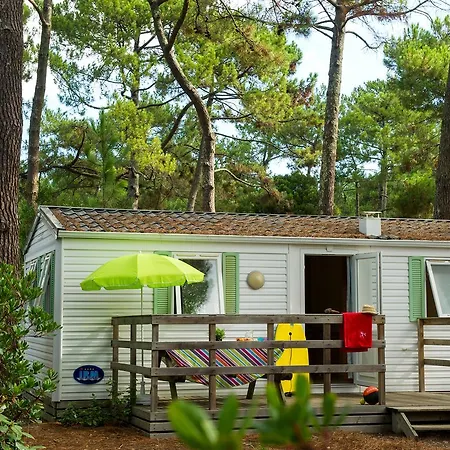 Vtf La Jaougue Soule