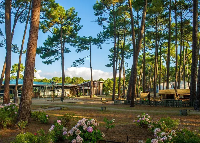 Vtf La Jaougue Soule 3*